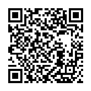 从今天开始打猎的范围就在你们确定绝对安全的地方二维码生成