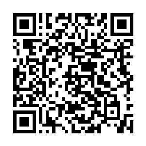 从他们严峻的表情可以晚的动静连他们也被吓到了二维码生成