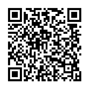 从他们的眼神看来沈喜臻便知道这是些非常聪明伶俐的人二维码生成