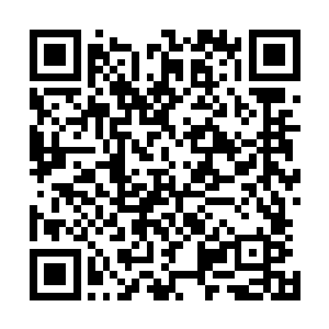 从他们的衣着上面龙傲天判断出这些人都跟小金的母亲一样二维码生成