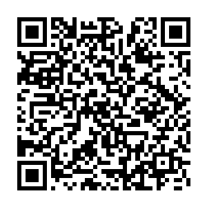 从他们进入岛屿的身体资料以及到他们每天的排名还有战斗估算值二维码生成