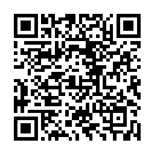 从他的位置刚好能看到她白大衣下露出半截漂亮的锁骨二维码生成