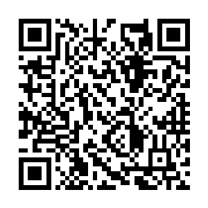 从他的小包里翻出了一个声波定位器后拿给了耐特二维码生成
