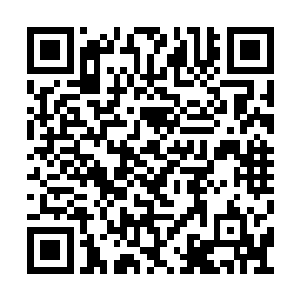 从他的话头中秦洛就已经认定了他们使用的就是二维码生成