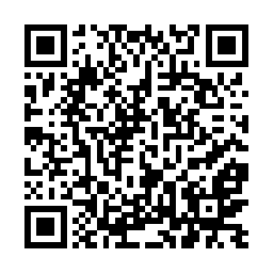 从你的两个堂兄弟或是其他支脉族人那里过继来个后代二维码生成
