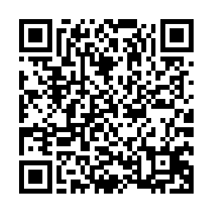 从储物戒指中取出了所有的五品和六品的仙符交给了西门孤烟二维码生成