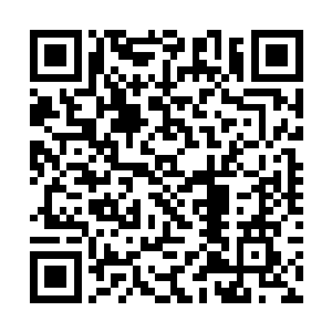 从储物戒指中拿出了几个等级最低的灵桃放在盘子里二维码生成