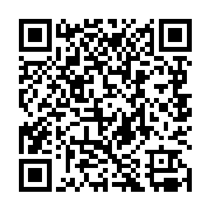 从元婴中期道分神顶峰这可是足足跨越了两个多大境界二维码生成