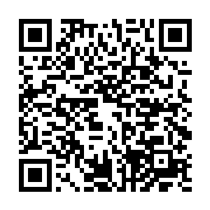 从兜里摸出一扎美元轻巧的数出十张挟在二指间递过去二维码生成