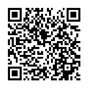 从共同创造世界到分道扬镳我们之间不断发生战斗二维码生成