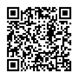 从冰神殿内出来的一名老者语气恭敬的对着长阳明月说道二维码生成