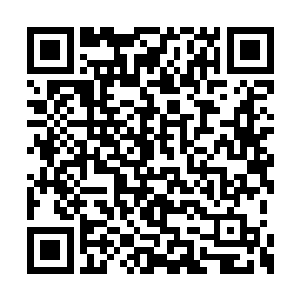 从刀锋上激荡而出的五色刀芒几乎凝聚成了实质二维码生成