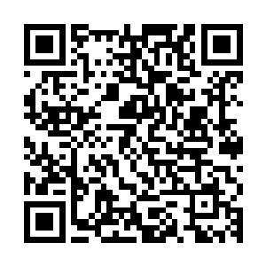 从刚才在小秋家里白奇雪握住我的手直到现在走出老远坐上了车二维码生成