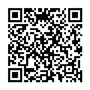 从刚才开始一直闭着嘴不说话的雅文终于忍不住喊出了声二维码生成