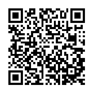 从刚才的时候杀戮天尊身上爆发出来的恐怖的气息他就能够看出二维码生成