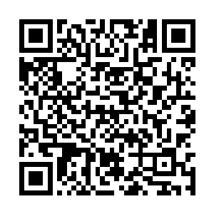 从刚才看到玄天十八峰和眼前的铁龙宗的山门开始二维码生成