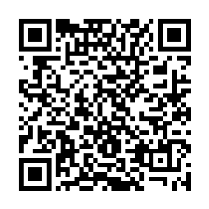 从前到后忙得气喘吁吁的白色月牙总算是松了一口气二维码生成