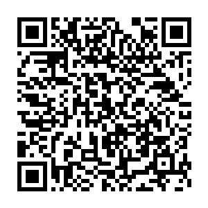 从半步神级炼药师到神级炼药师需要用到一些珍贵的药材……这些药材二维码生成