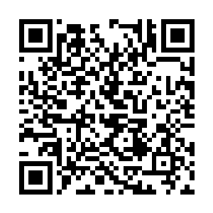 从半步鬼皇中的中等水准一下子飙升到了巅峰水准二维码生成