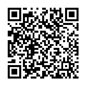 从南方各地赶过来希望得到秩序火种的传奇不在少数二维码生成