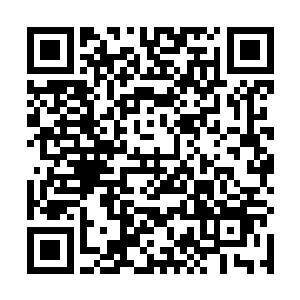 从原来来的两个人正是她找了一整天的越流殇和白瞳儿二维码生成