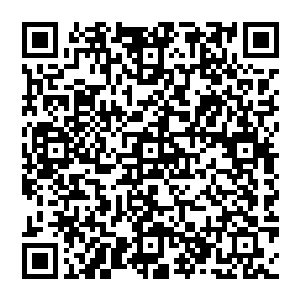 从原来的那个一门心思沉浸在文遗保护工作的女人变成了逐渐适应市文化局副局长工作的副处级领导二维码生成