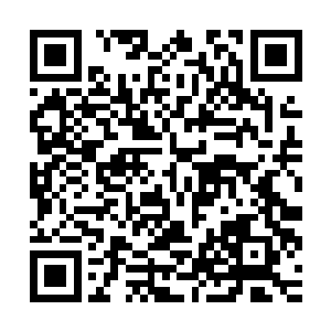 从另一个方面入手就行――彻底了解暴动事件发生的原因和真相二维码生成