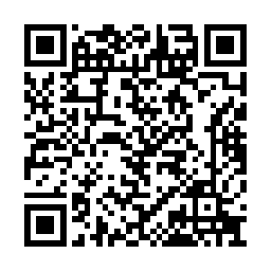 从叶家带来的仆从们收拾着带来的二十几车行李二维码生成