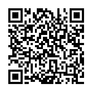 从叶家选择了来投靠跟他们关系冷淡的叶璃而不是去江南找自己二维码生成