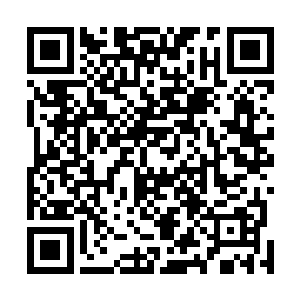 从后备箱里拔出了一把把不锈钢砍刀和一支支黑色散弹枪二维码生成