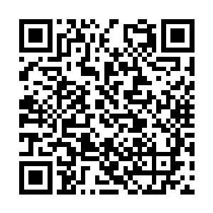 从后方赶来的是十七万西凉大军将会陆续赶到洛阳二维码生成