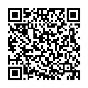 从咆哮山林的猛兽直接降级到了在家里喵喵叫的小猫二维码生成