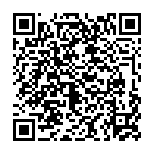 从四人物品中清理出的晶币连他动用法力清点一时间也数不清数量二维码生成