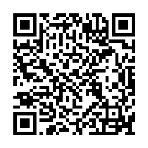从四面八方一下子向着中间的世界本源包裹而去二维码生成