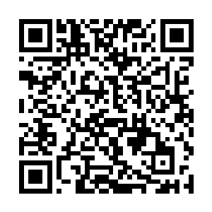 从四面八方席卷而来的血雾也立刻变得更加浓郁起来二维码生成