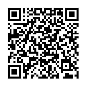 从圣光塔跟着剑尘下来的权有才也对着五长老拱手说道二维码生成