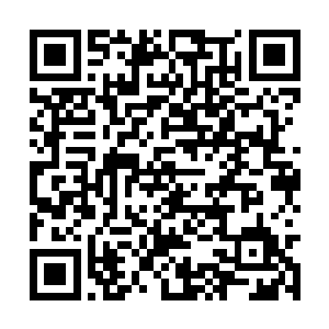 从圣甲虫人那扭曲得不成形状得断臂之中喷涌而出二维码生成