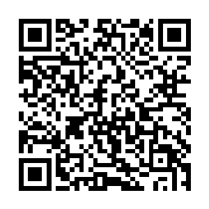 从在极北之地意外将吸收来的灵力转化为自身的修为二维码生成