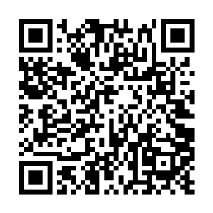 从地上爬起来的日族族长和月族族长便是双目一亮二维码生成