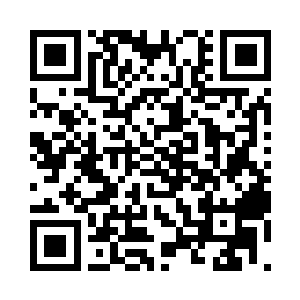 从地面猛地窜出两条水桶粗的植物根茎二维码生成