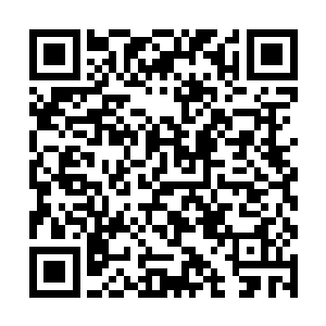 从坍塌的建筑废墟之中飞出了两个人直奔着罗楼而来二维码生成