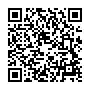 从坐上车子开始就一直低头攥着脖子里挂着的那个东西二维码生成