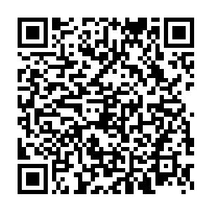 从墨州的某个饲养独角仙的丹药师家族发给保罗的黄金独角仙的数量二维码生成