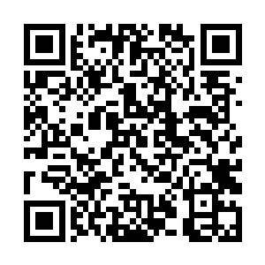 从外形上来看倒是跟楚旬那冰封了的海幽灵一模一样二维码生成