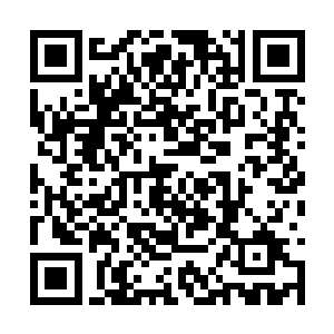 从外表上看起来居然就是一个十七八岁的清秀少年二维码生成