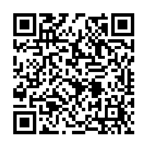 从外面就可见到她跳动的心脏和不断鼓胀收缩的肺二维码生成