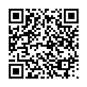 从外面是看不到苏林的一丁点身体了二维码生成