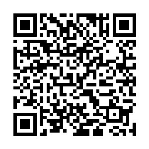 从多西罗亚那里得到的藏宝图上――还有先祖之谜……二维码生成
