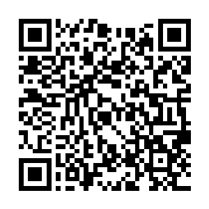 从大小看陈凌认为那块确实的镶嵌物就是九天神宝二维码生成