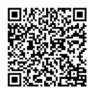 从大阵中一出来流墨墨就挥手把温宝儿放了出来抬头看向久违了一年多的碧落门二维码生成